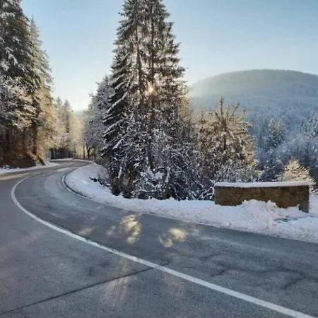 Kuca Za Odmor “Dobra” - Skrad, Gorski Kotar Exterior photo
