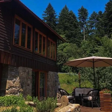 Kuca Za Odmor “Dobra” - Skrad, Gorski Kotar Exterior photo