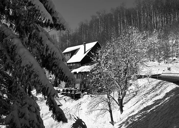 Kuca Za Odmor “Dobra” - Skrad, Gorski Kotar