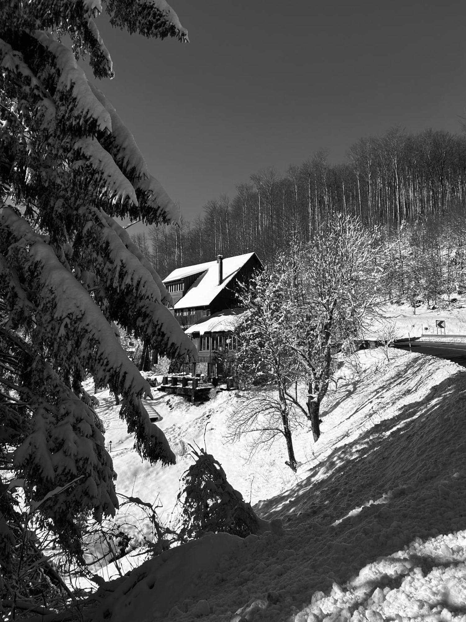 Holiday home Kuca Za Odmor “dobra” - Skrad, Gorski Kotar